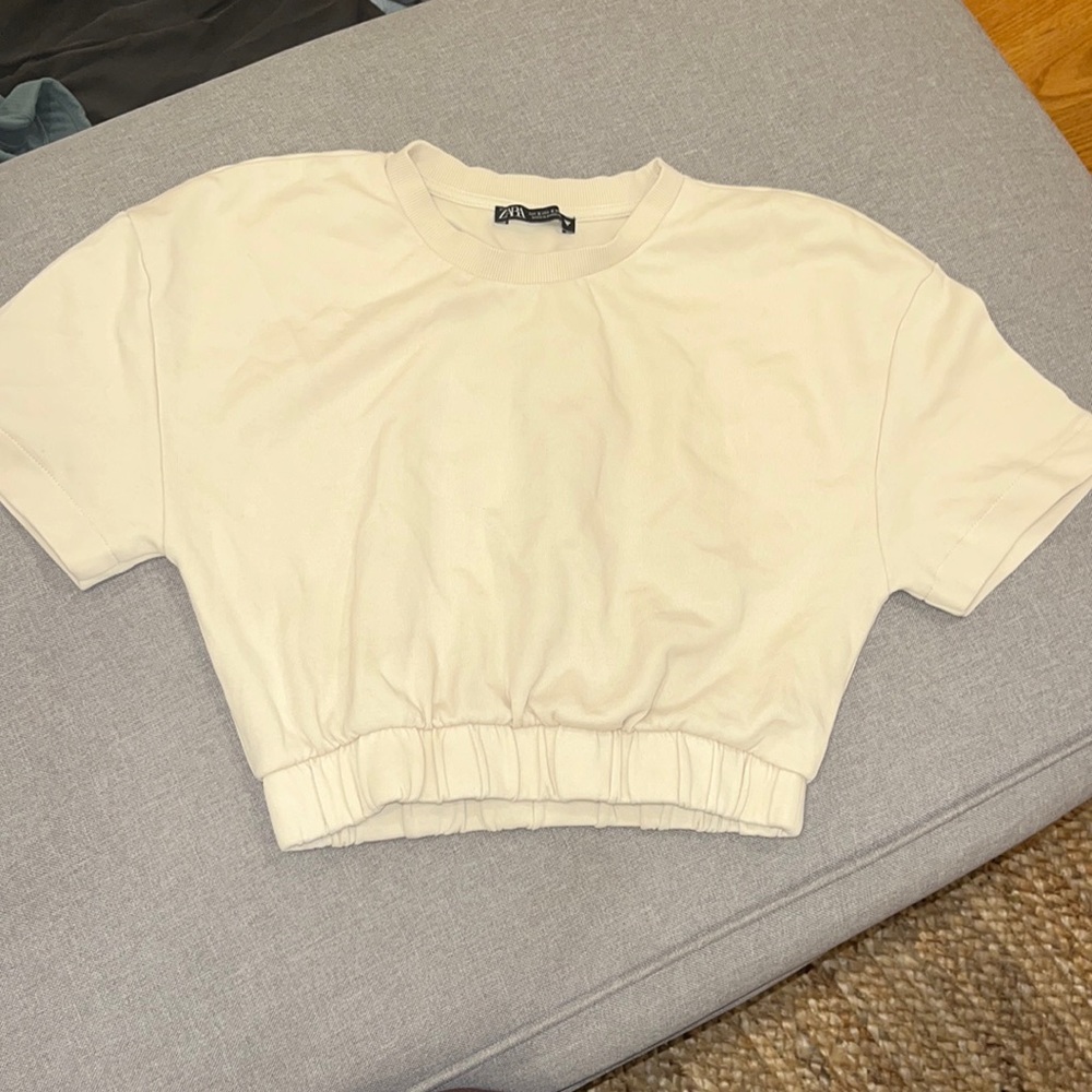 Zara neural crop top